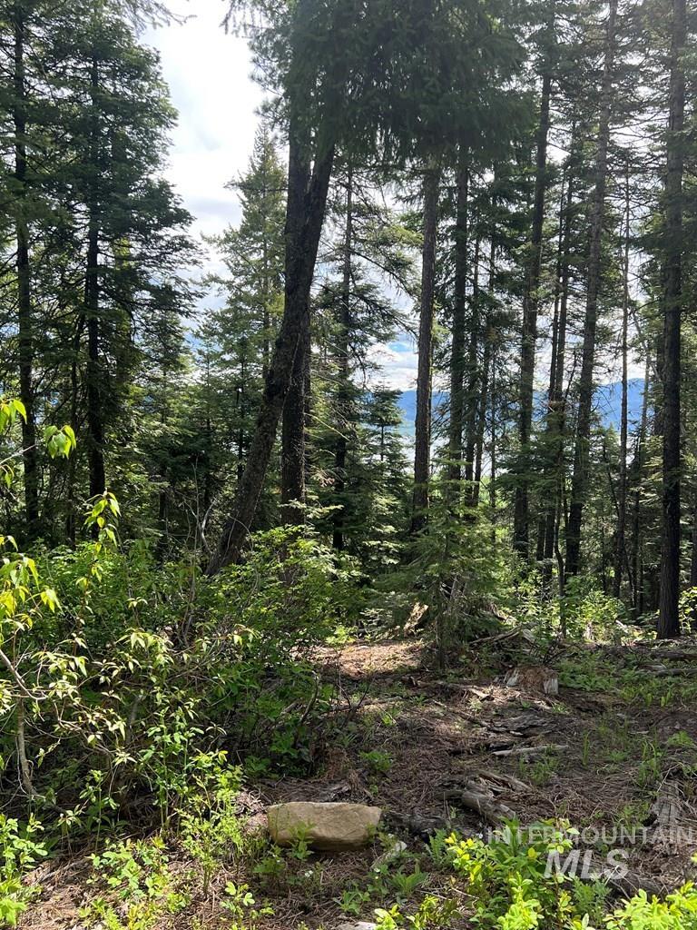 76 Arling Trail, Donnelly, Idaho 83615, Land For Sale, Price $329,000, 98946302