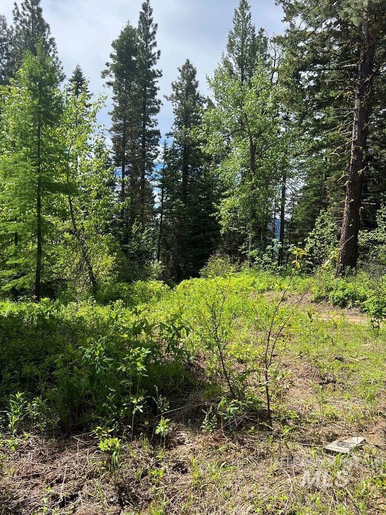 76 Arling Trail, Donnelly, Idaho 83615, Land For Sale, Price $329,000, 98946302