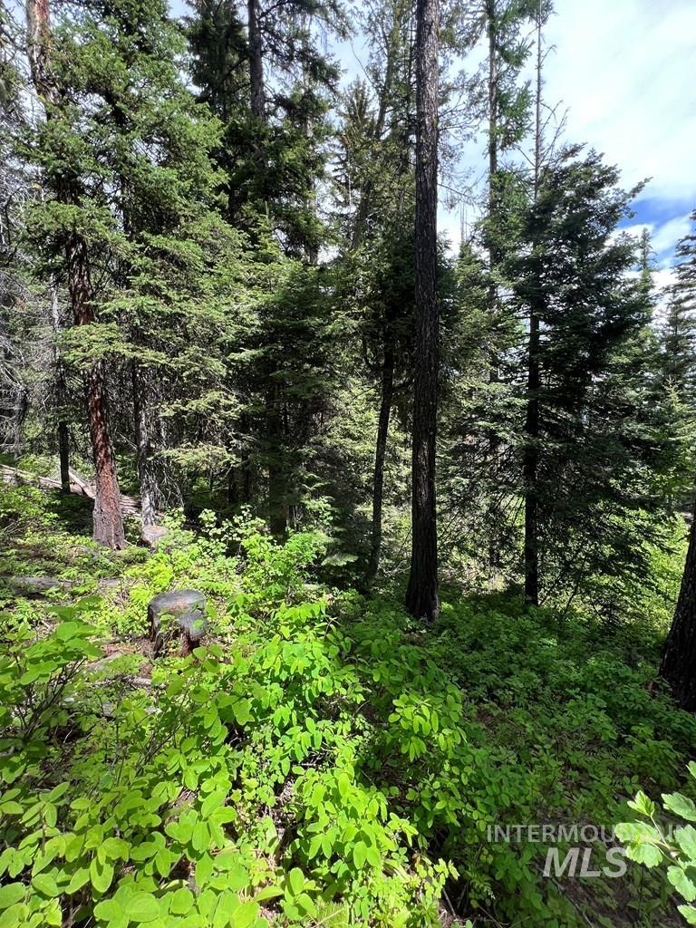 76 Arling Trail, Donnelly, Idaho 83615, Land For Sale, Price $329,000, 98946302