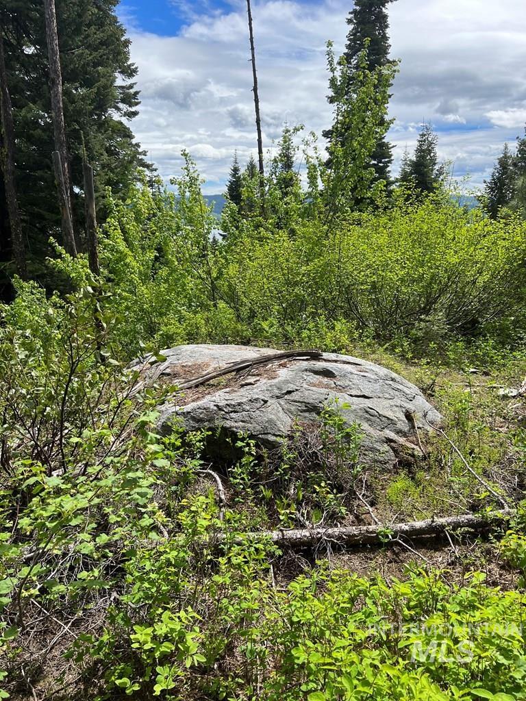 76 Arling Trail, Donnelly, Idaho 83615, Land For Sale, Price $329,000, 98946302
