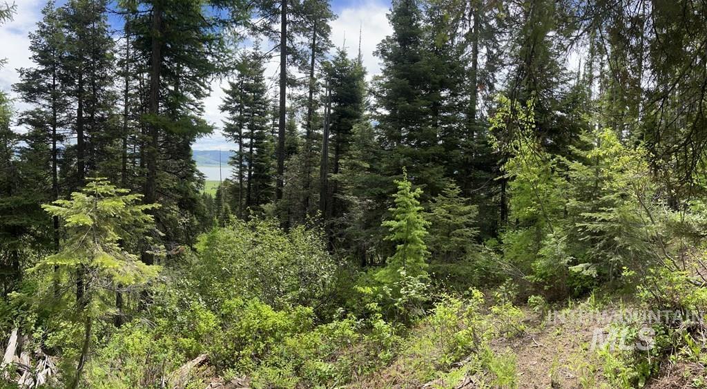 76 Arling Trail, Donnelly, Idaho 83615, Land For Sale, Price $329,000, 98946302