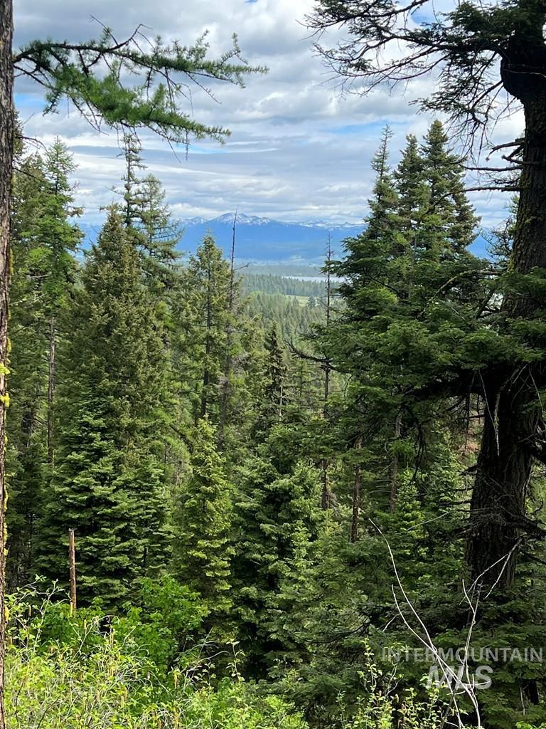 76 Arling Trail, Donnelly, Idaho 83615, Land For Sale, Price $329,000, 98946302