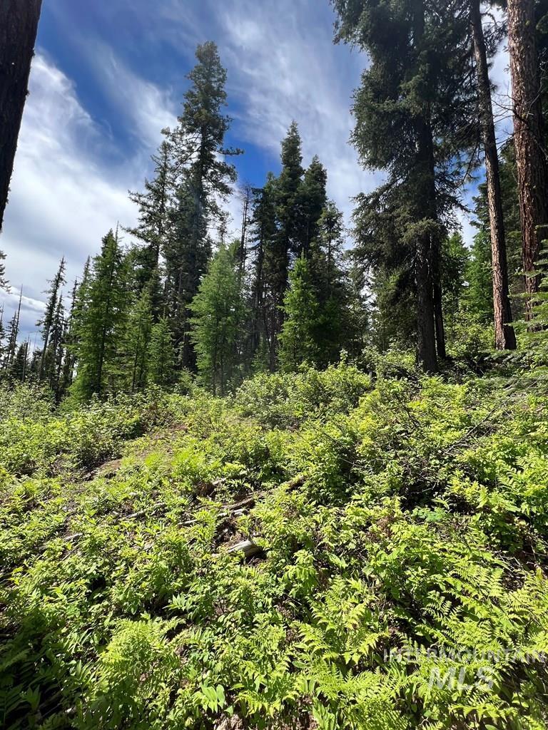 76 Arling Trail, Donnelly, Idaho 83615, Land For Sale, Price $329,000, 98946302