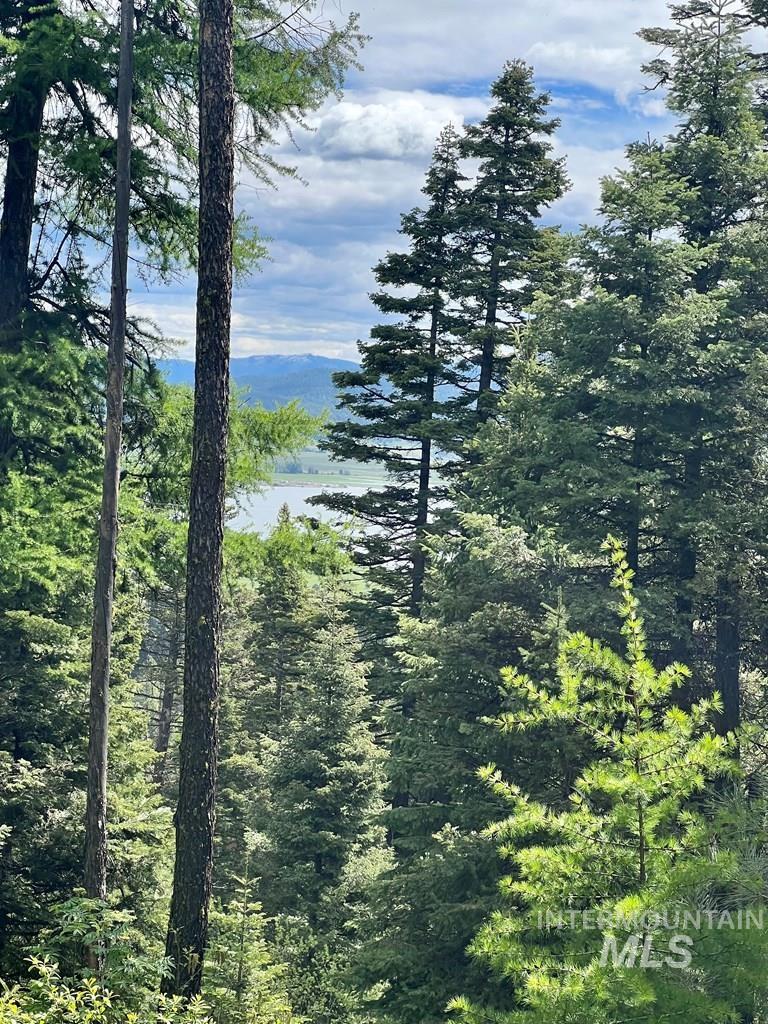 76 Arling Trail, Donnelly, Idaho 83615, Land For Sale, Price $329,000, 98946302