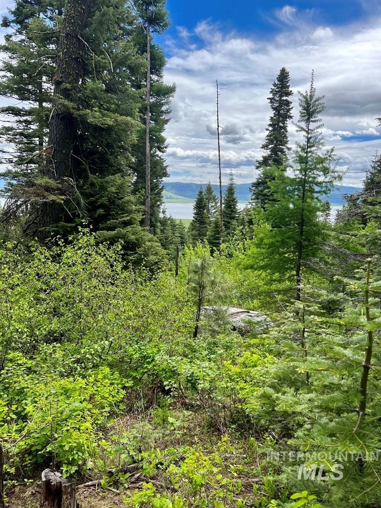 76 Arling Trail, Donnelly, Idaho 83615, Land For Sale, Price $329,000, 98946302