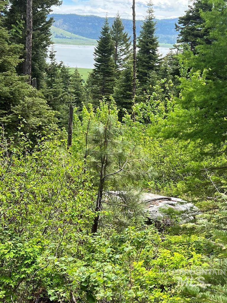 76 Arling Trail, Donnelly, Idaho 83615, Land For Sale, Price $329,000, 98946302