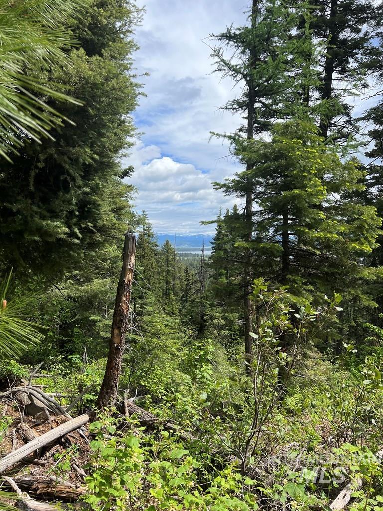 76 Arling Trail, Donnelly, Idaho 83615, Land For Sale, Price $329,000, 98946302