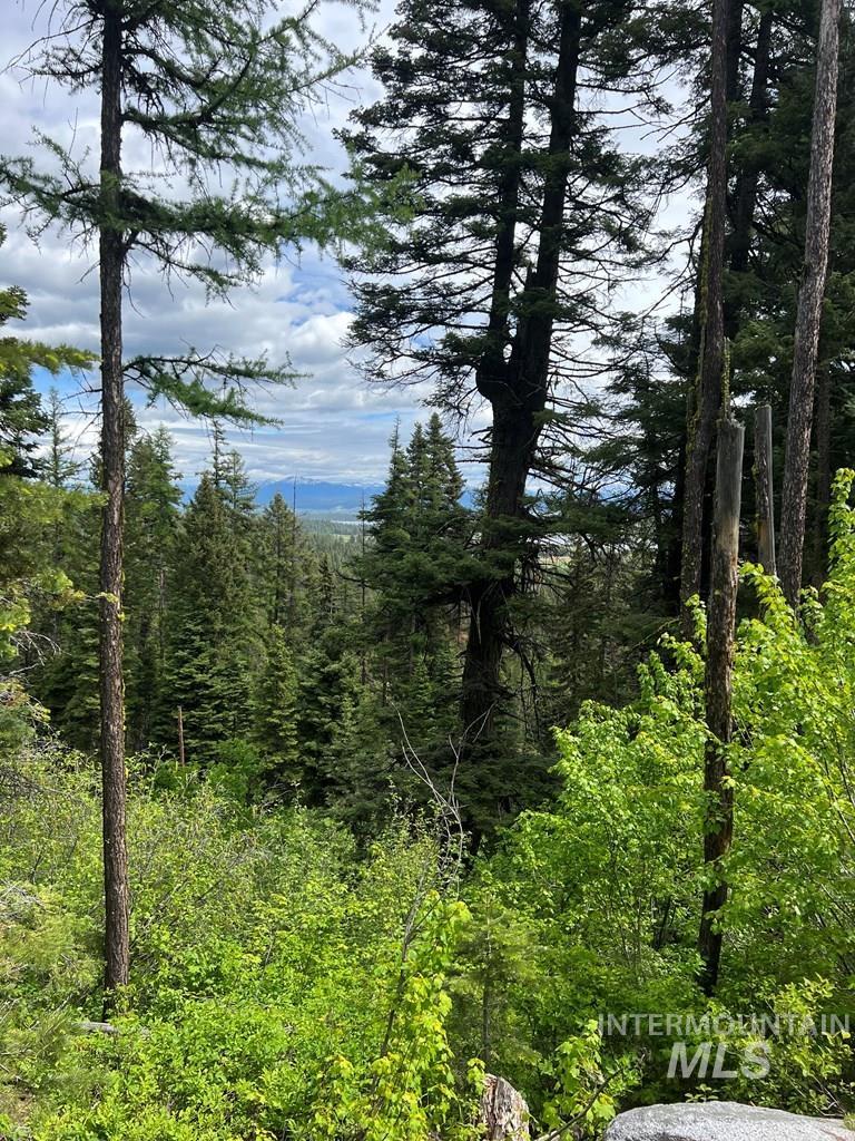 76 Arling Trail, Donnelly, Idaho 83615, Land For Sale, Price $329,000, 98946302