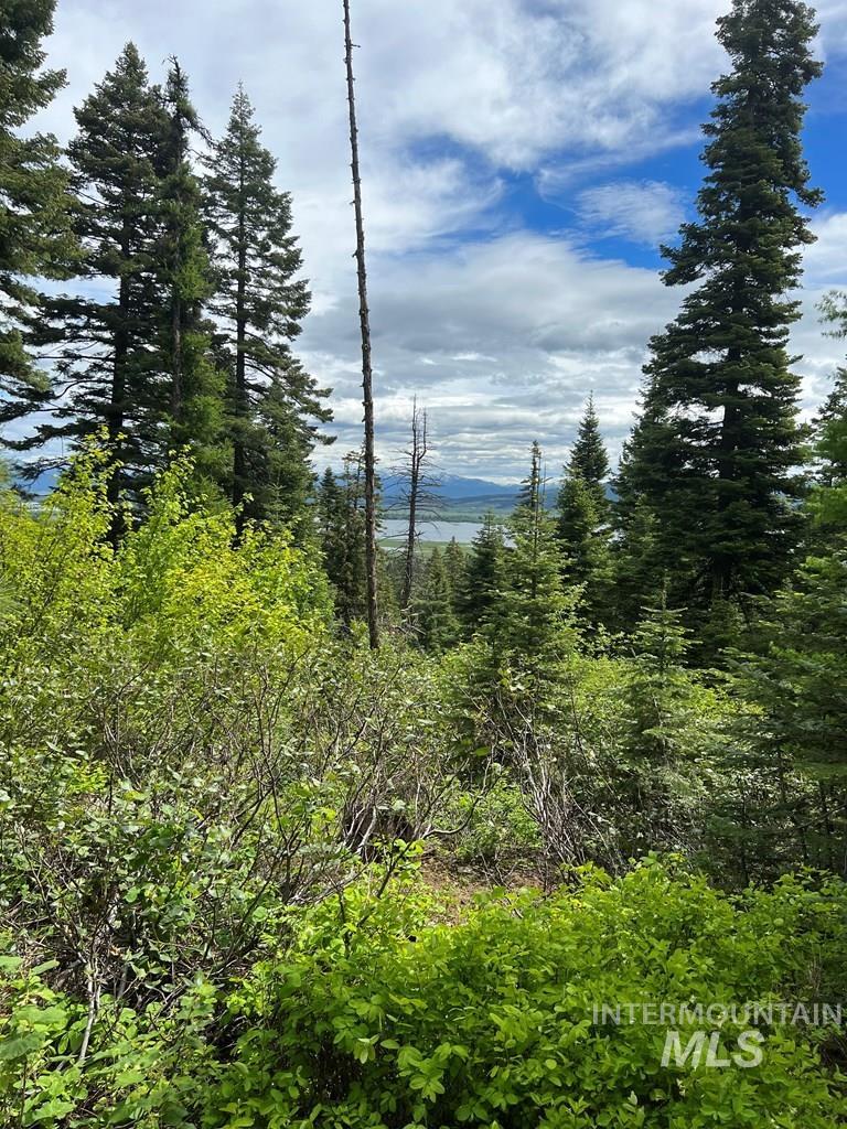 76 Arling Trail, Donnelly, Idaho 83615, Land For Sale, Price $329,000, 98946302