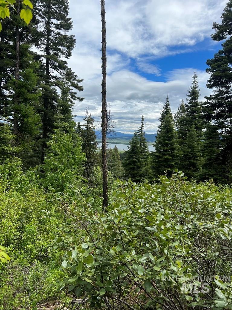 76 Arling Trail, Donnelly, Idaho 83615, Land For Sale, Price $329,000, 98946302