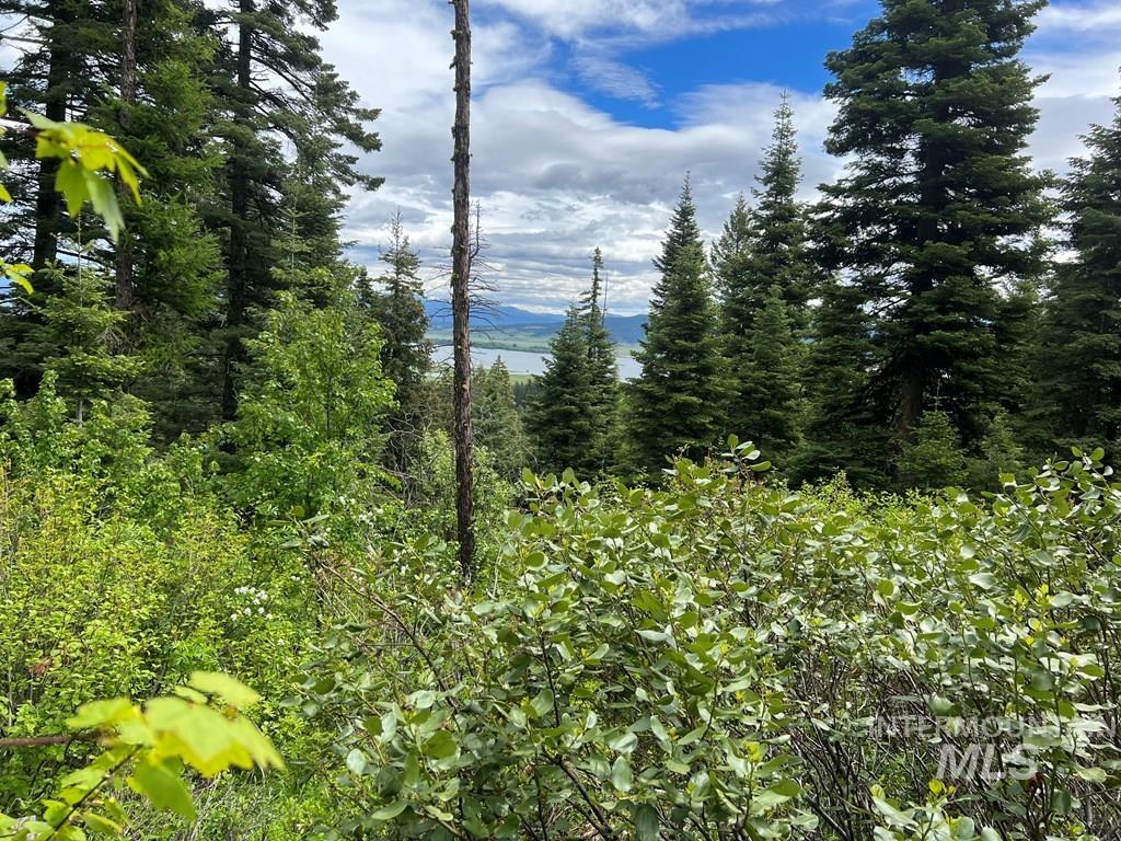 76 Arling Trail, Donnelly, Idaho 83615, Land For Sale, Price $329,000, 98946302