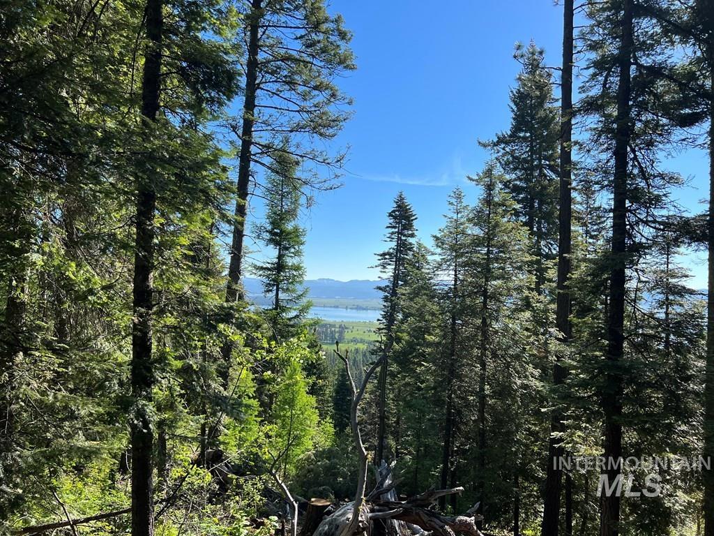 76 Arling Trail, Donnelly, Idaho 83615, Land For Sale, Price $329,000, 98946302