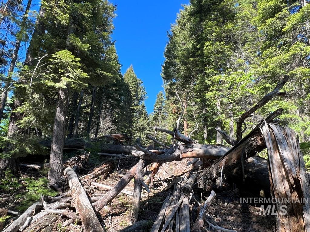 76 Arling Trail, Donnelly, Idaho 83615, Land For Sale, Price $329,000, 98946302