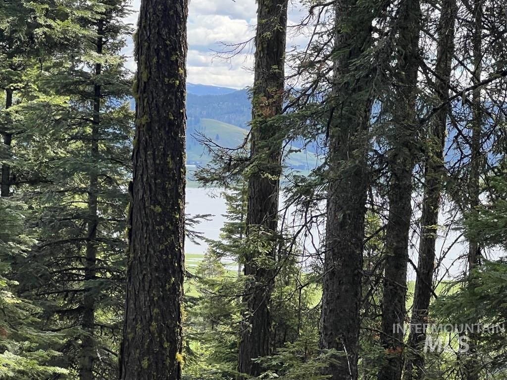 76 Arling Trail, Donnelly, Idaho 83615, Land For Sale, Price $329,000, 98946302