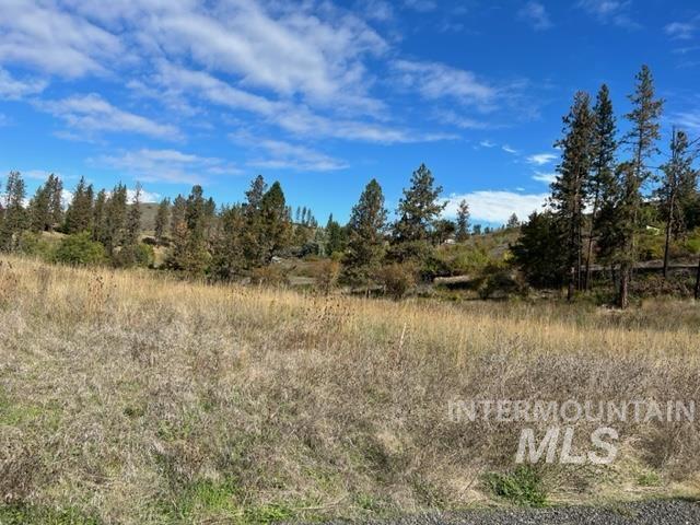 TBD Lot 1 Elk Hill Road, Kamiah, Idaho 83536, Land For Sale, Price $160,000, 98946304