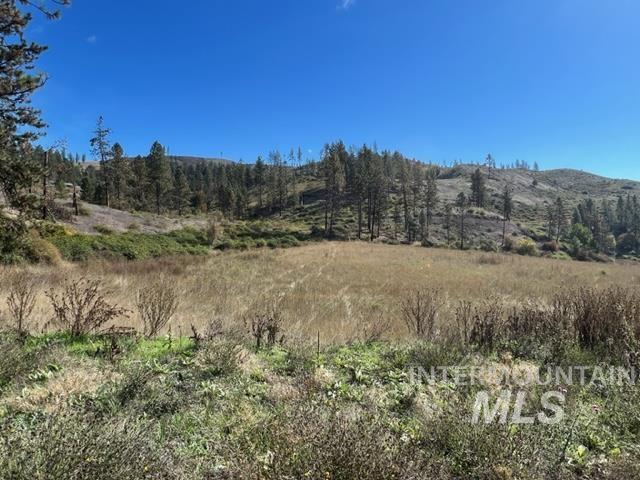TBD Lot 1 Elk Hill Road, Kamiah, Idaho 83536, Land For Sale, Price $160,000, 98946304