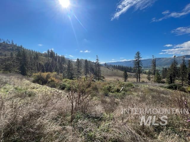 TBD Lot 1 Elk Hill Road, Kamiah, Idaho 83536, Land For Sale, Price $160,000, 98946304