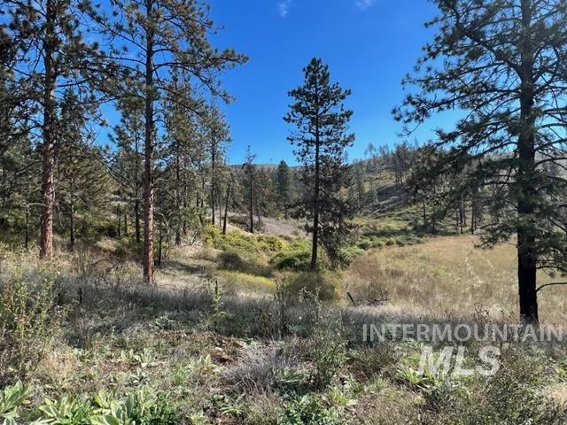 TBD Lot 1 Elk Hill Road, Kamiah, Idaho 83536, Land For Sale, Price $160,000, 98946304