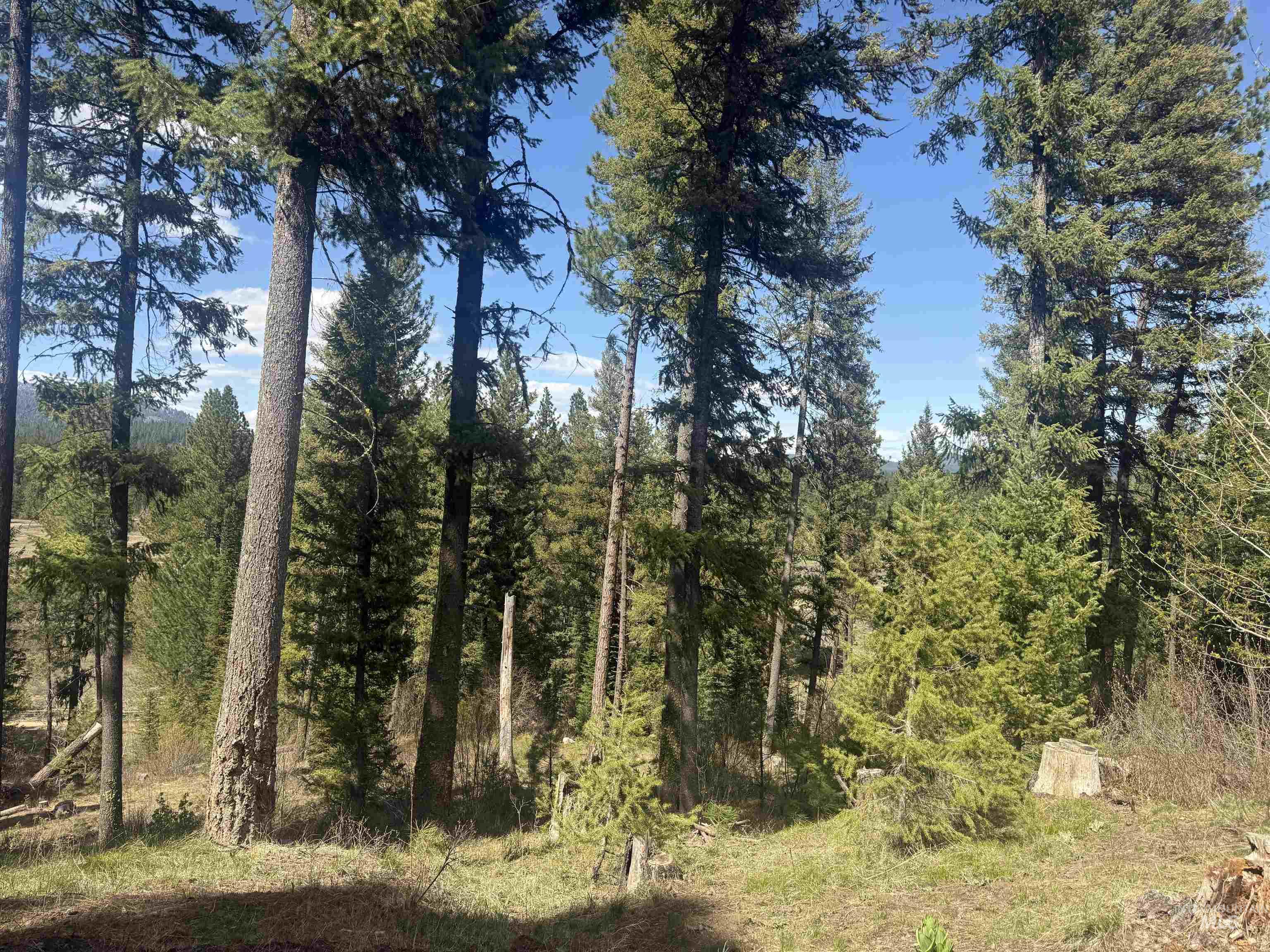26 Doaka Ct, Idaho City, Idaho 83631, 2 Bedrooms, 2 Bathrooms, Residential For Sale, Price $520,000, 98946348