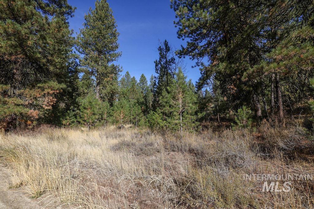 TBD Joshua Drive, Cascade, Idaho 83611, Land For Sale, Price $194,000, 98946350