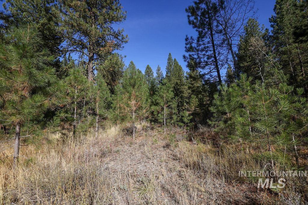 TBD Joshua Drive, Cascade, Idaho 83611, Land For Sale, Price $194,000, 98946350