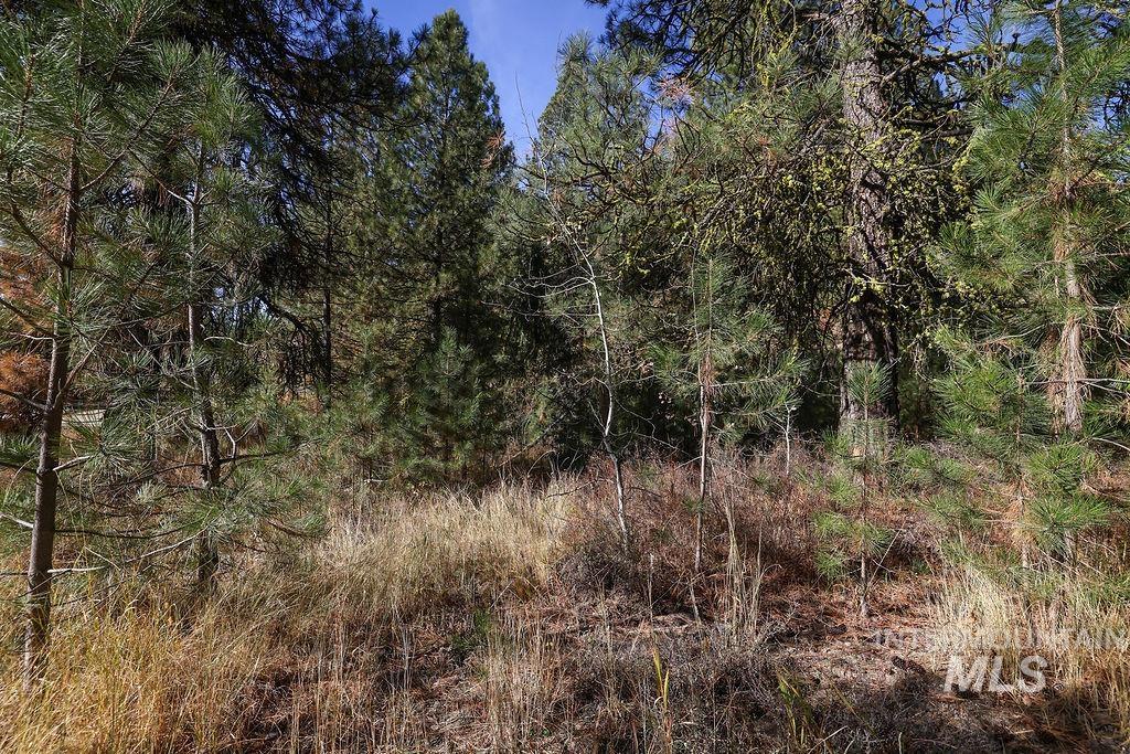 TBD Joshua Drive, Cascade, Idaho 83611, Land For Sale, Price $194,000, 98946350