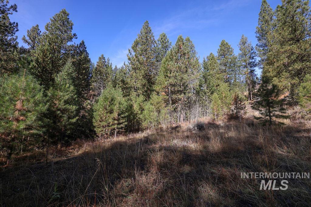 TBD Joshua Drive, Cascade, Idaho 83611, Land For Sale, Price $194,000, 98946350