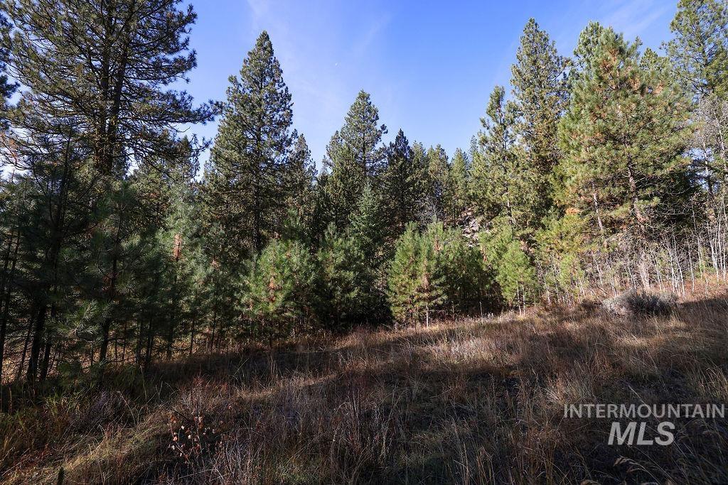 TBD Joshua Drive, Cascade, Idaho 83611, Land For Sale, Price $194,000, 98946350