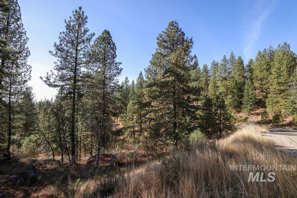 TBD Joshua Drive, Cascade, Idaho 83611, Land For Sale, Price $194,000, 98946350
