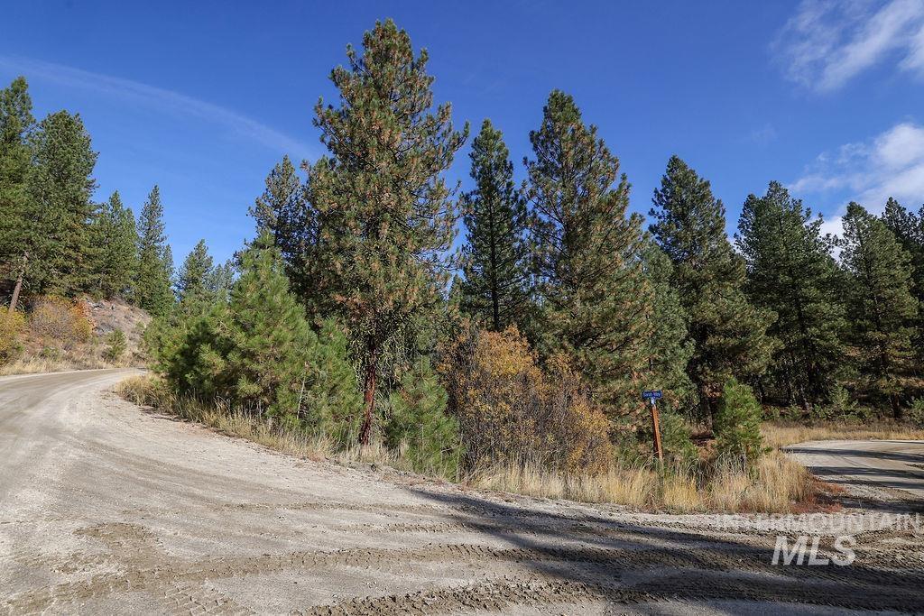 TBD Joshua Drive, Cascade, Idaho 83611, Land For Sale, Price $194,000, 98946350