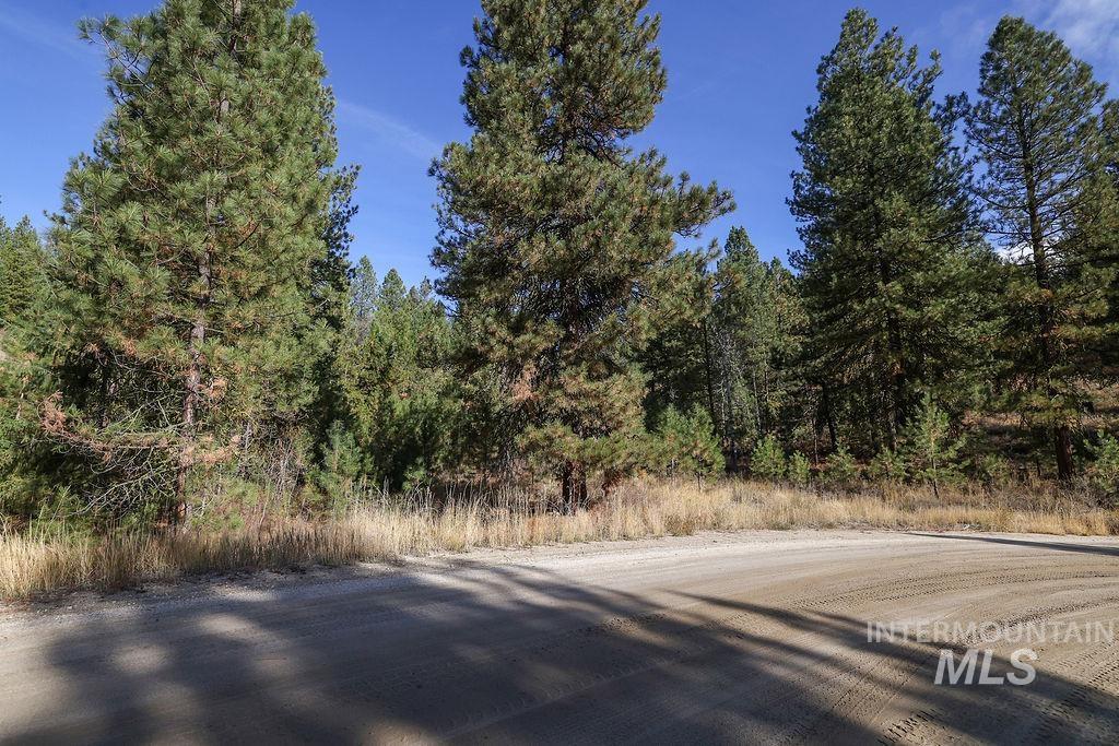 TBD Joshua Drive, Cascade, Idaho 83611, Land For Sale, Price $194,000, 98946350