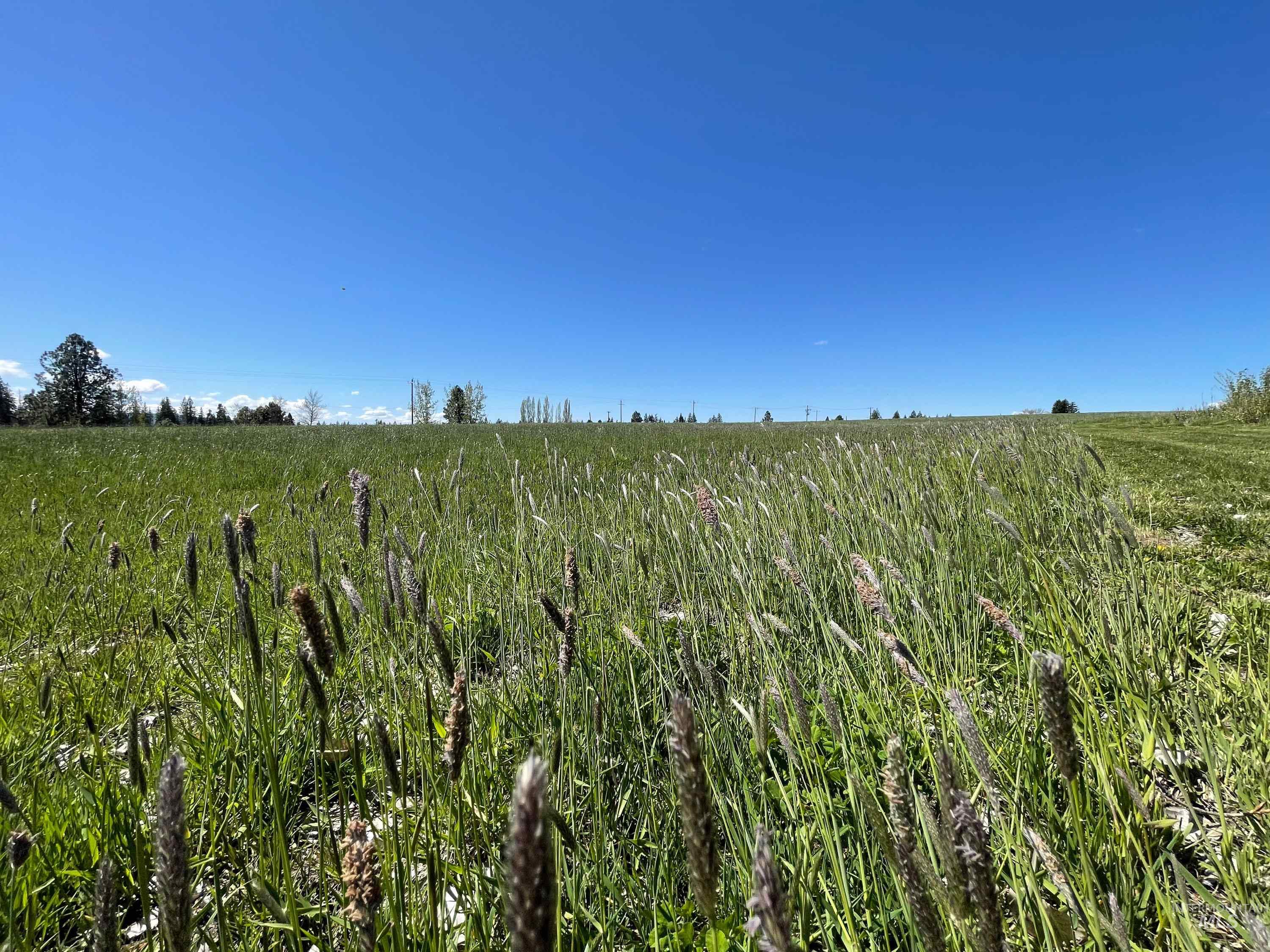 56922 S Hwy 97, St. Maries, Idaho 83861, 2 Bedrooms, 2 Bathrooms, Farm & Ranch For Sale, Price $2,795,000, 98946368
