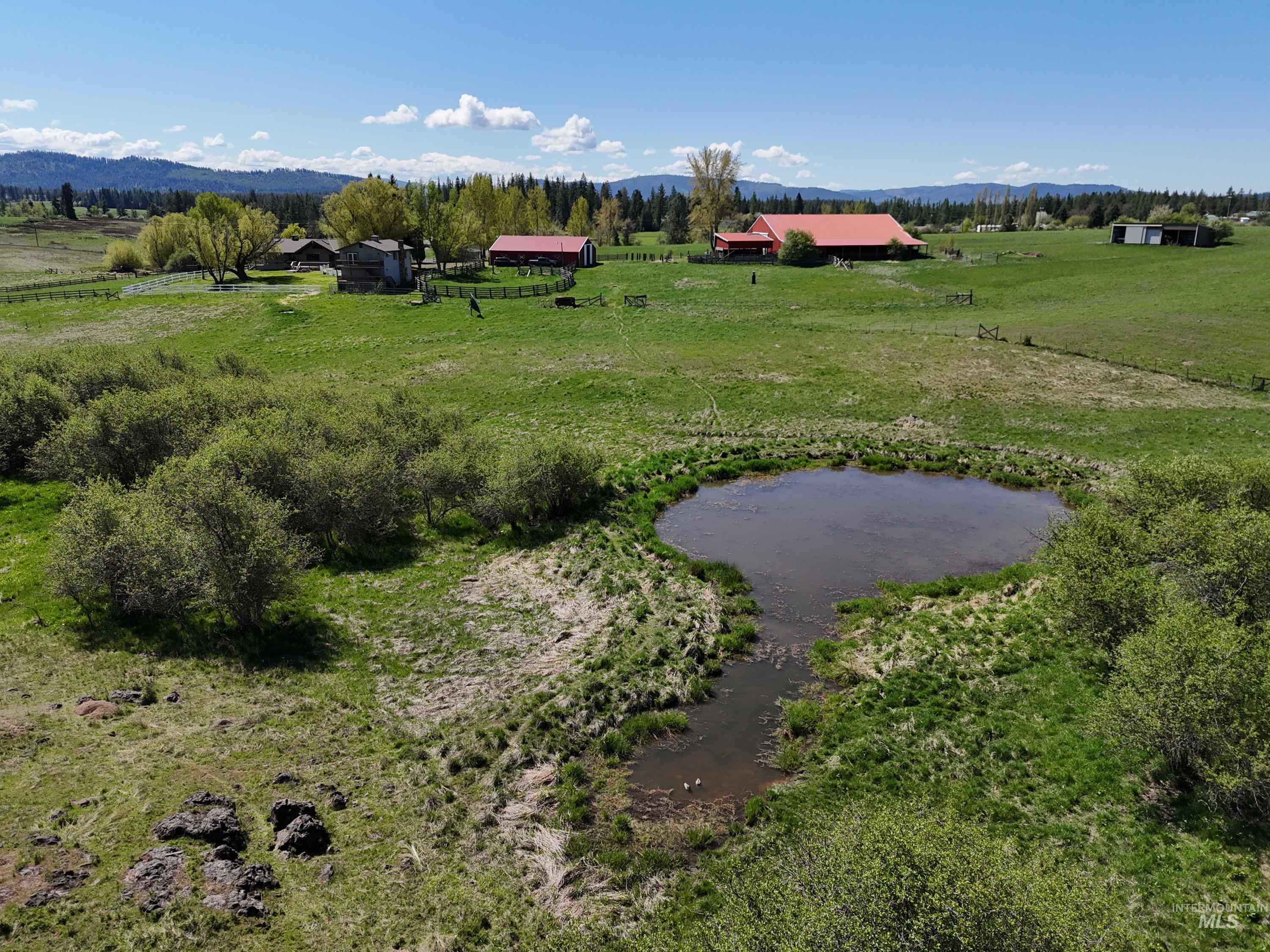 56922 S Hwy 97, St. Maries, Idaho 83861, 2 Bedrooms, 2 Bathrooms, Farm & Ranch For Sale, Price $2,795,000, 98946368