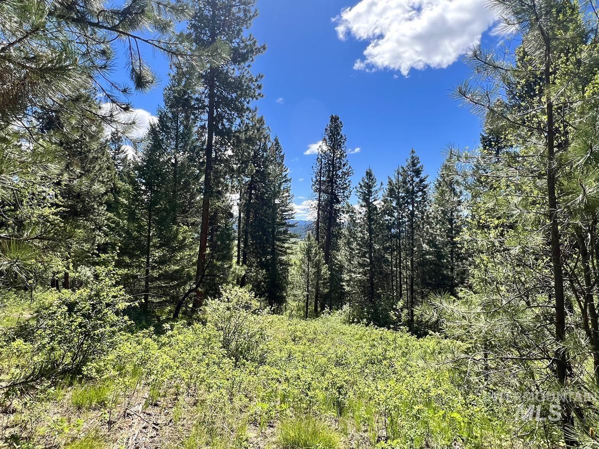 L3 B2 Rehn Loop, Cascade, Idaho 83611, Land For Sale, Price $198,900, 98946409