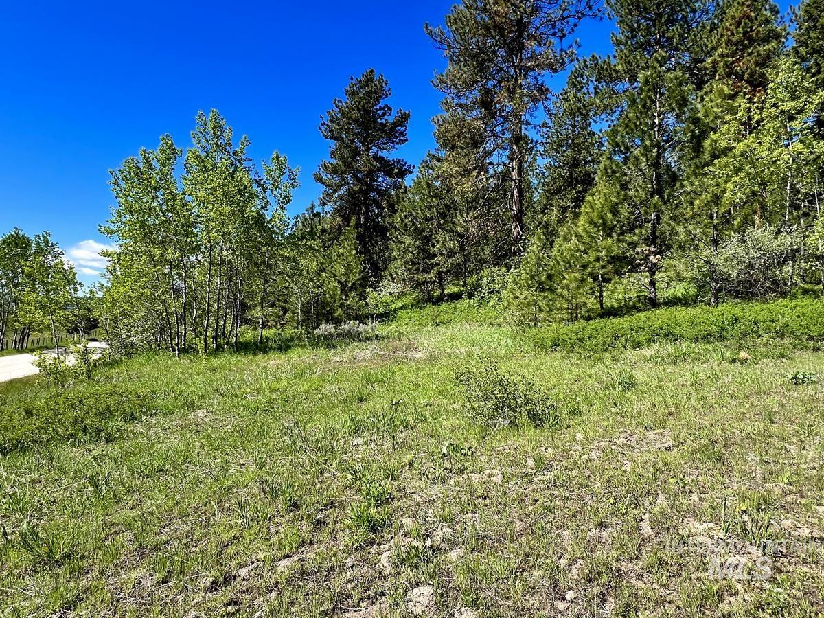 L3 B2 Rehn Loop, Cascade, Idaho 83611, Land For Sale, Price $198,900, 98946409