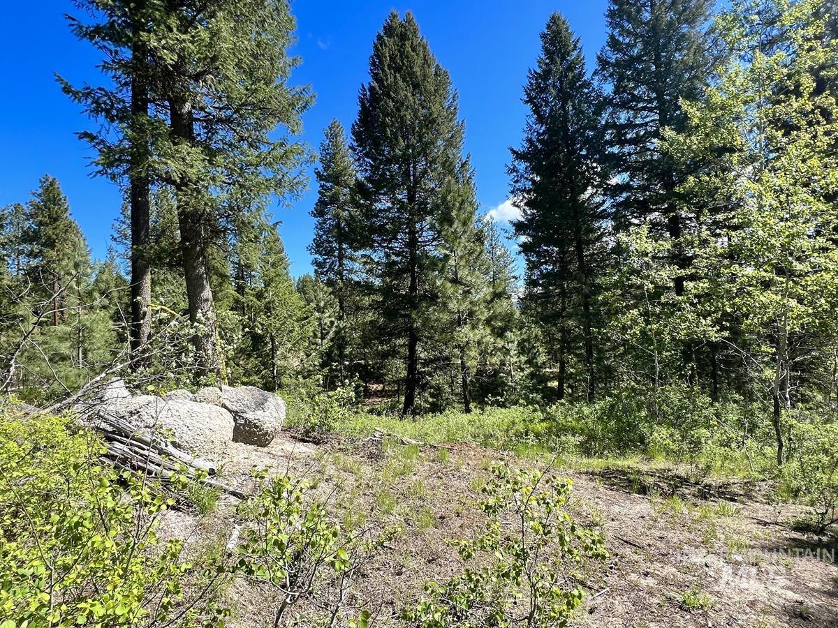 L3 B2 Rehn Loop, Cascade, Idaho 83611, Land For Sale, Price $198,900, 98946409