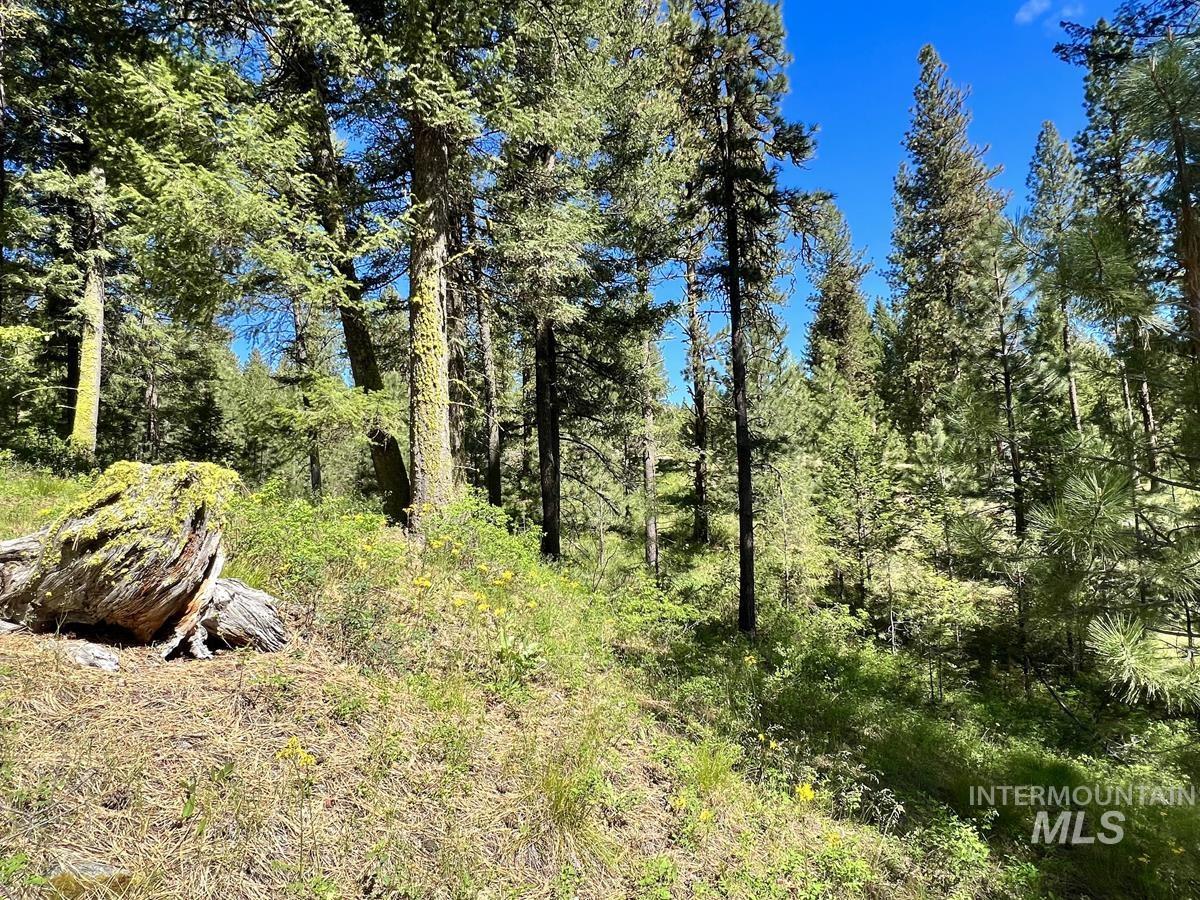 L3 B2 Rehn Loop, Cascade, Idaho 83611, Land For Sale, Price $198,900, 98946409