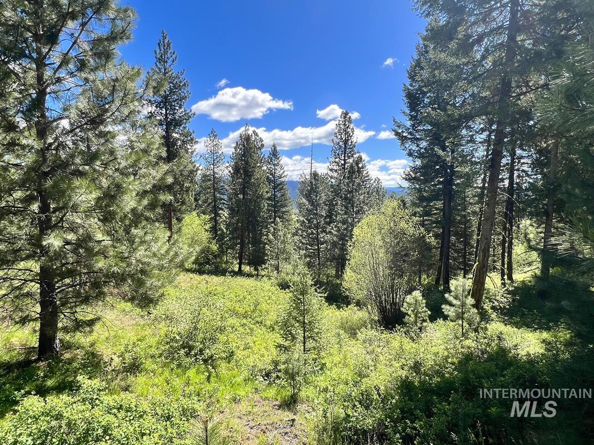 L3 B2 Rehn Loop, Cascade, Idaho 83611, Land For Sale, Price $198,900, 98946409