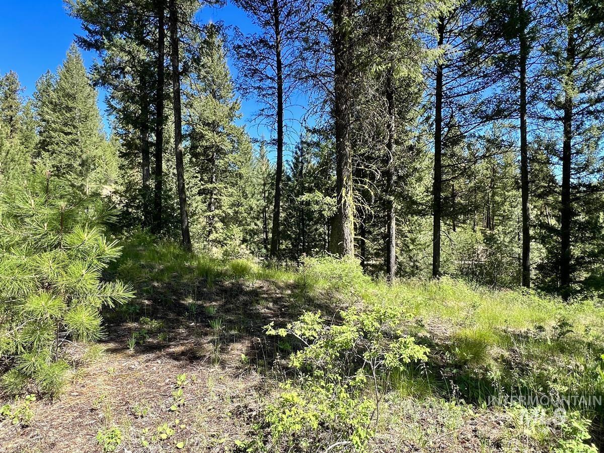 L3 B2 Rehn Loop, Cascade, Idaho 83611, Land For Sale, Price $198,900, 98946409