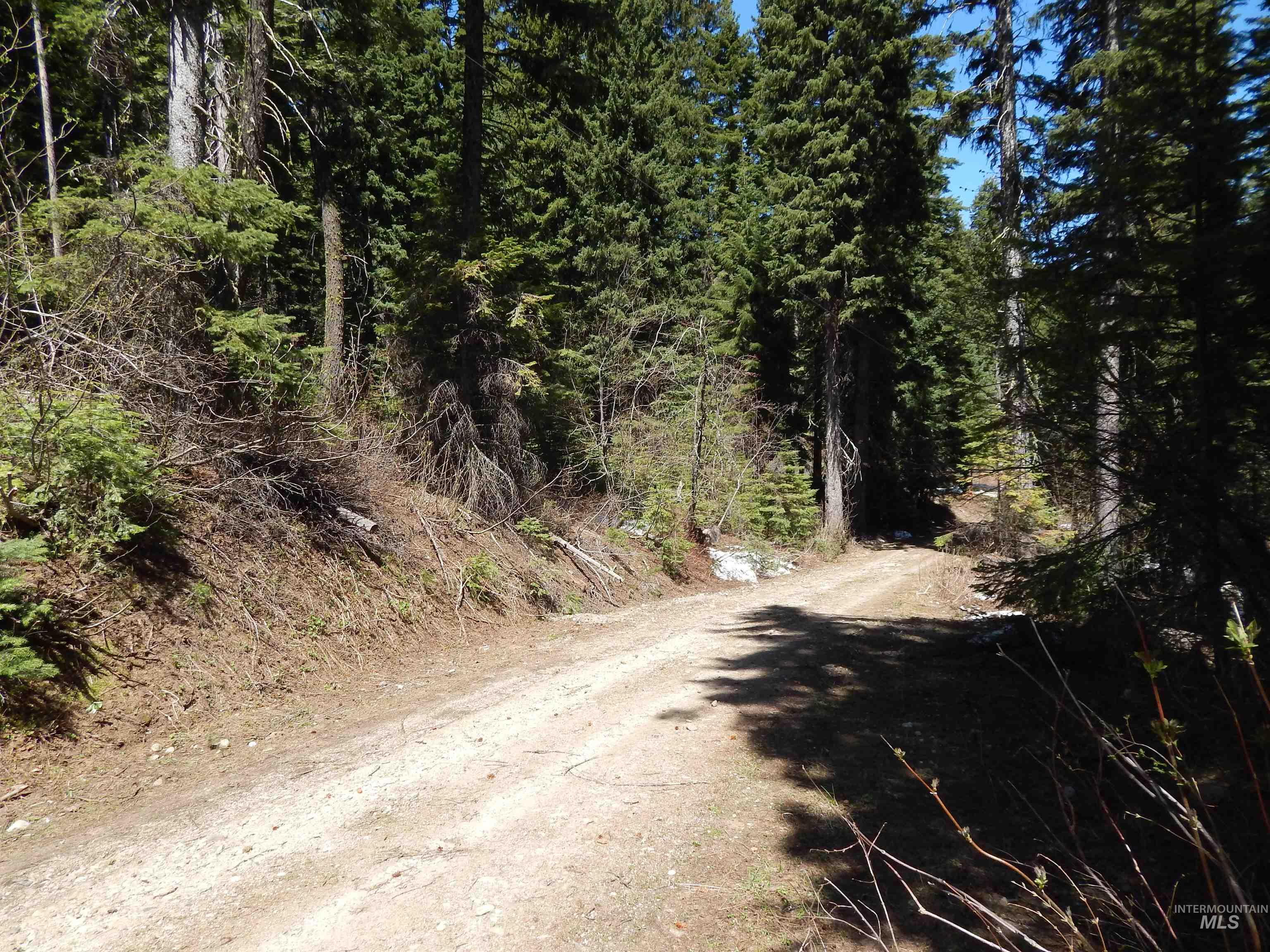 1601 Bear Trail Loop, Donnelly, Idaho 83615, Land For Sale, Price $199,000, 98946467