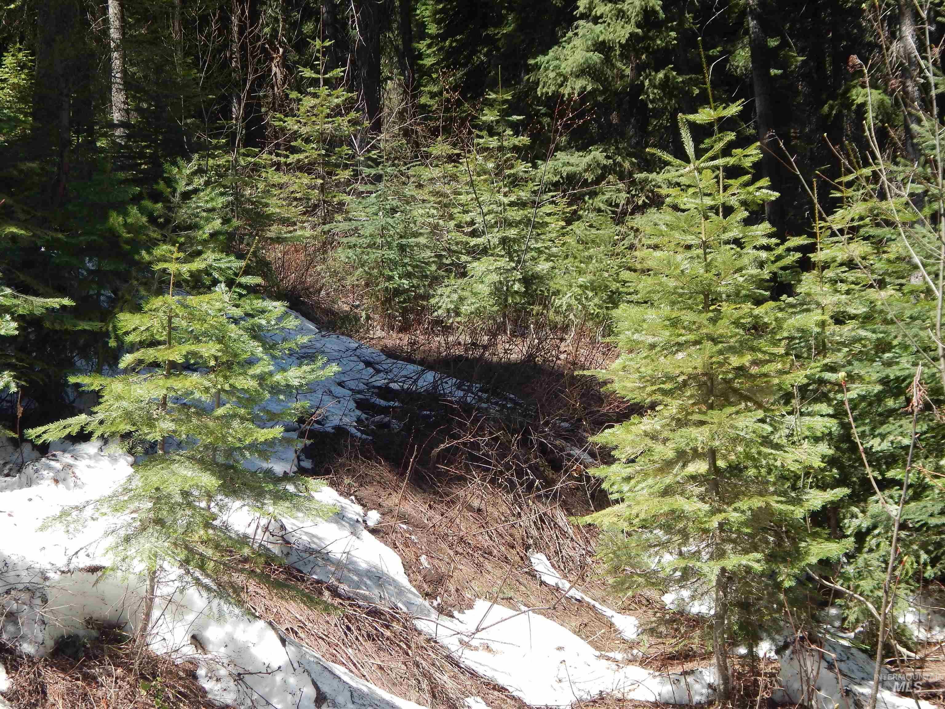 1601 Bear Trail Loop, Donnelly, Idaho 83615, Land For Sale, Price $199,000, 98946467