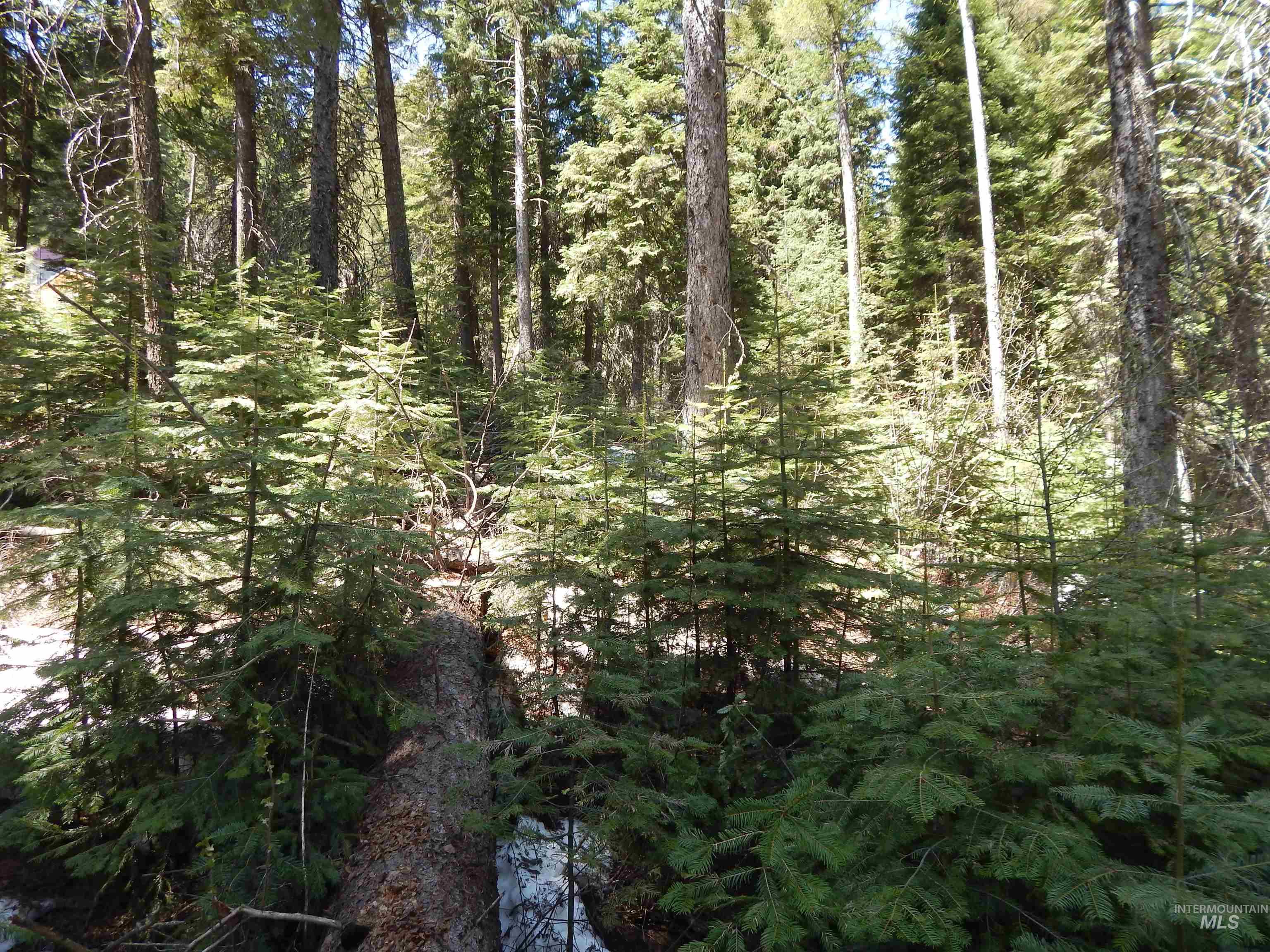 1601 Bear Trail Loop, Donnelly, Idaho 83615, Land For Sale, Price $199,000, 98946467