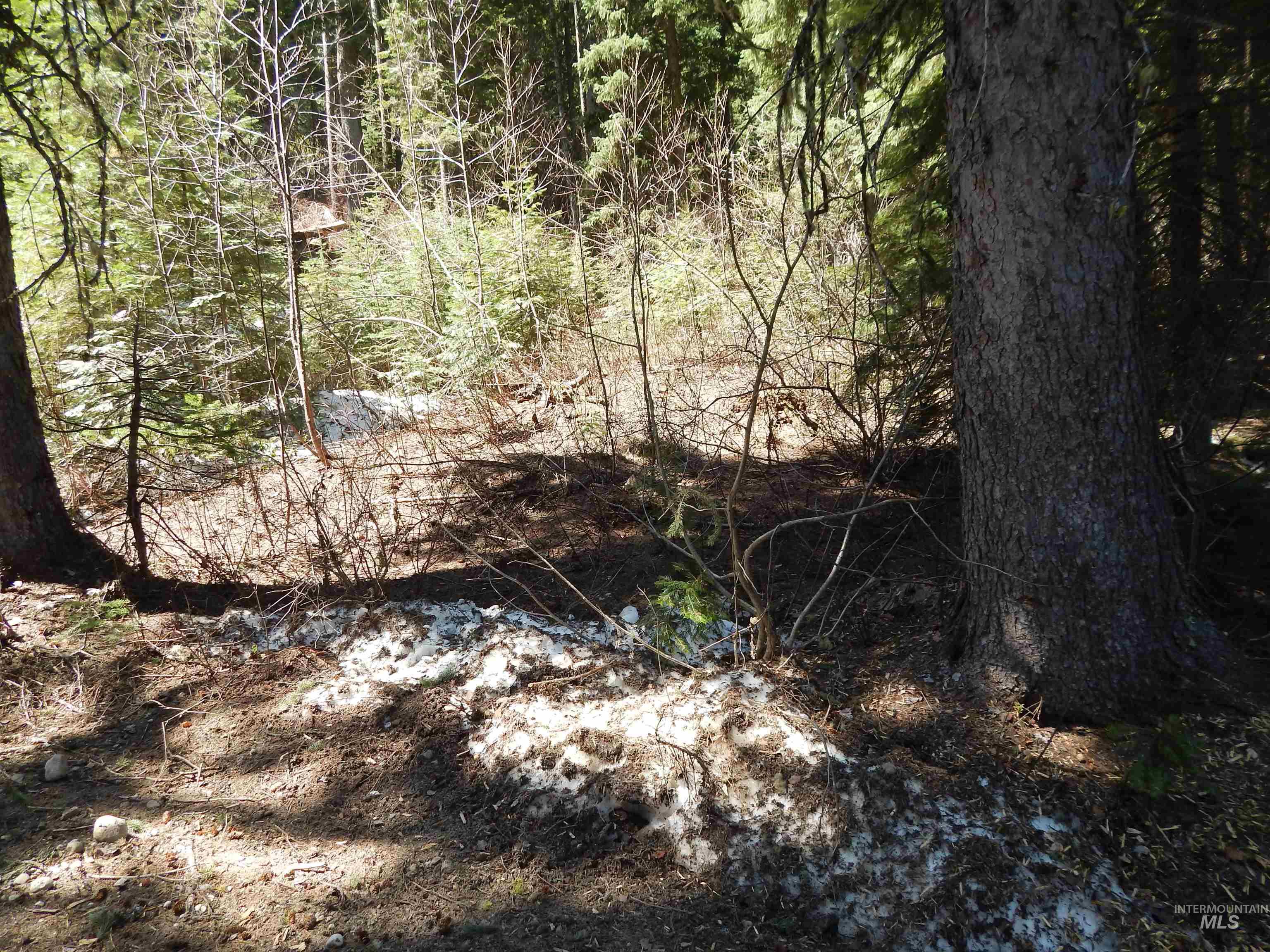 1601 Bear Trail Loop, Donnelly, Idaho 83615, Land For Sale, Price $199,000, 98946467
