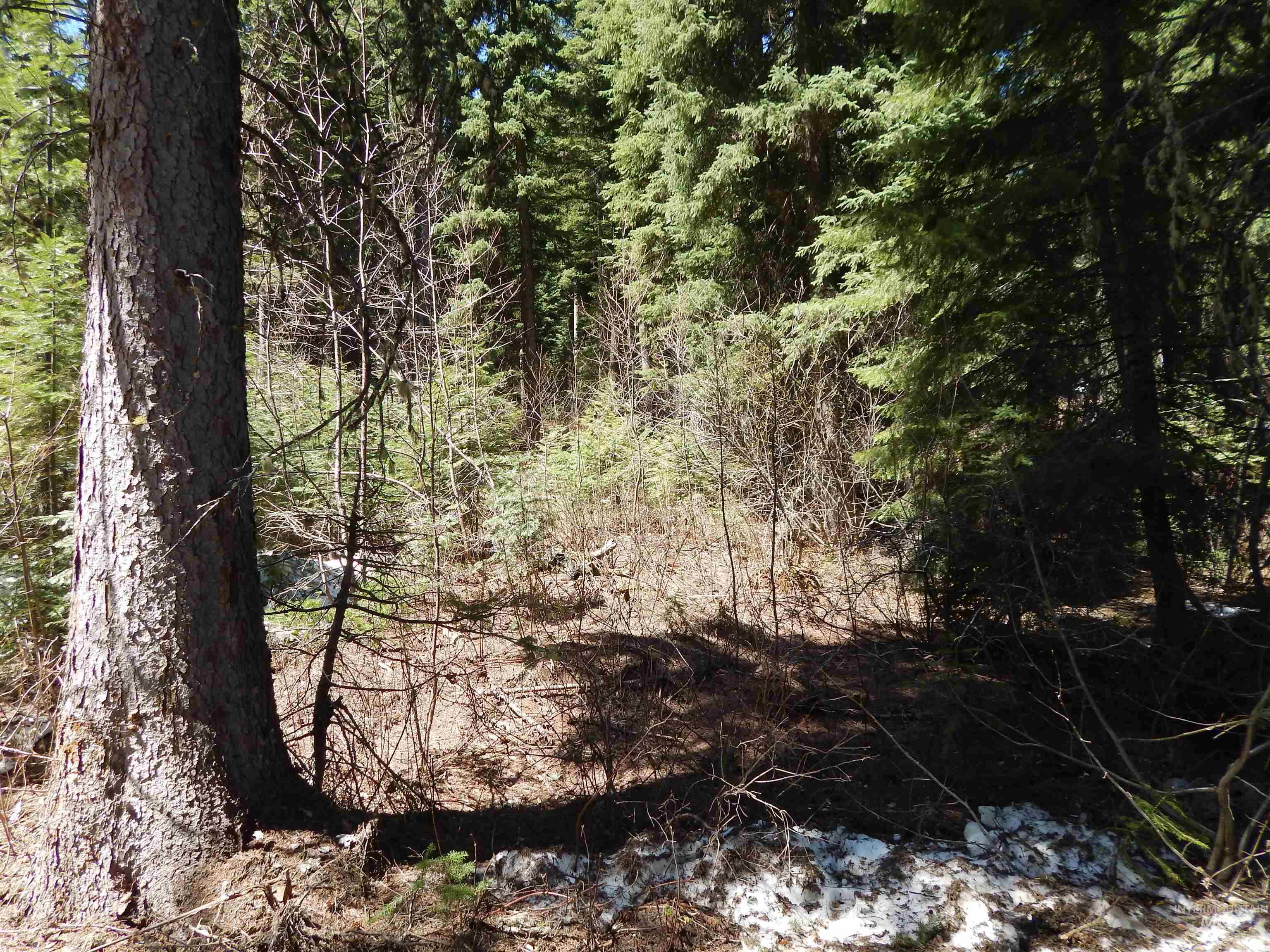 1601 Bear Trail Loop, Donnelly, Idaho 83615, Land For Sale, Price $199,000, 98946467