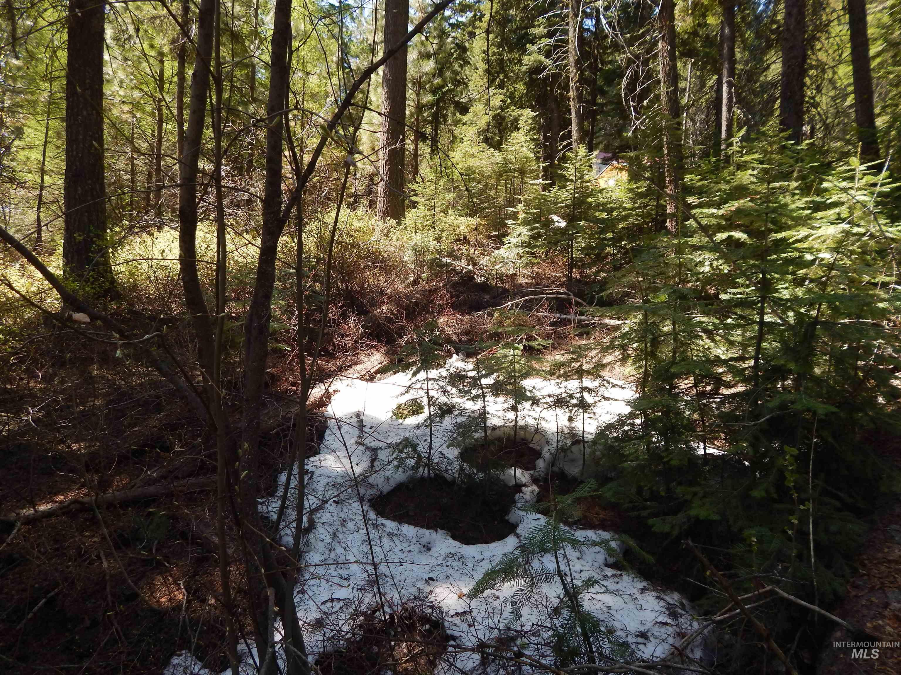 1601 Bear Trail Loop, Donnelly, Idaho 83615, Land For Sale, Price $199,000, 98946467