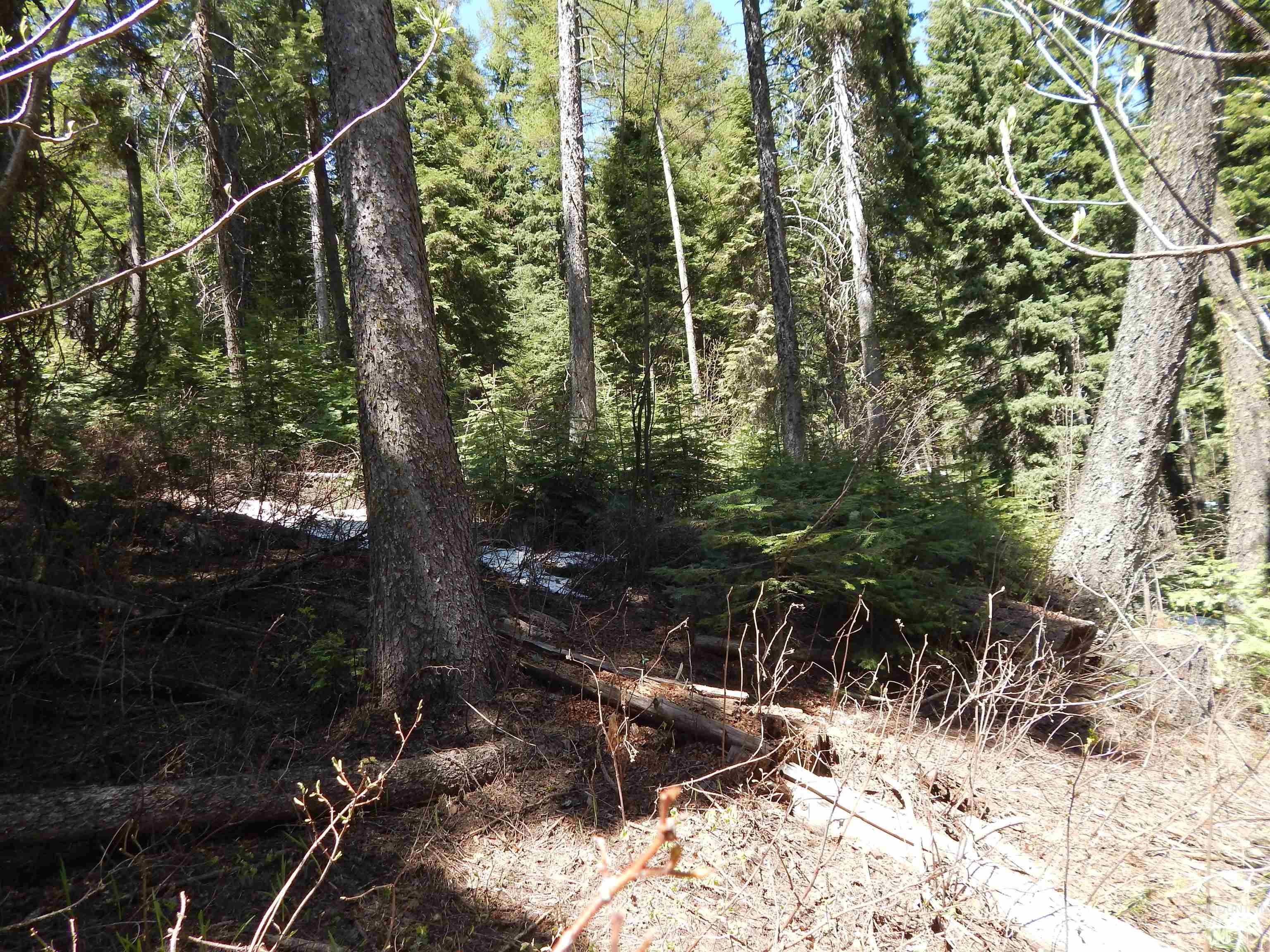 1601 Bear Trail Loop, Donnelly, Idaho 83615, Land For Sale, Price $199,000, 98946467