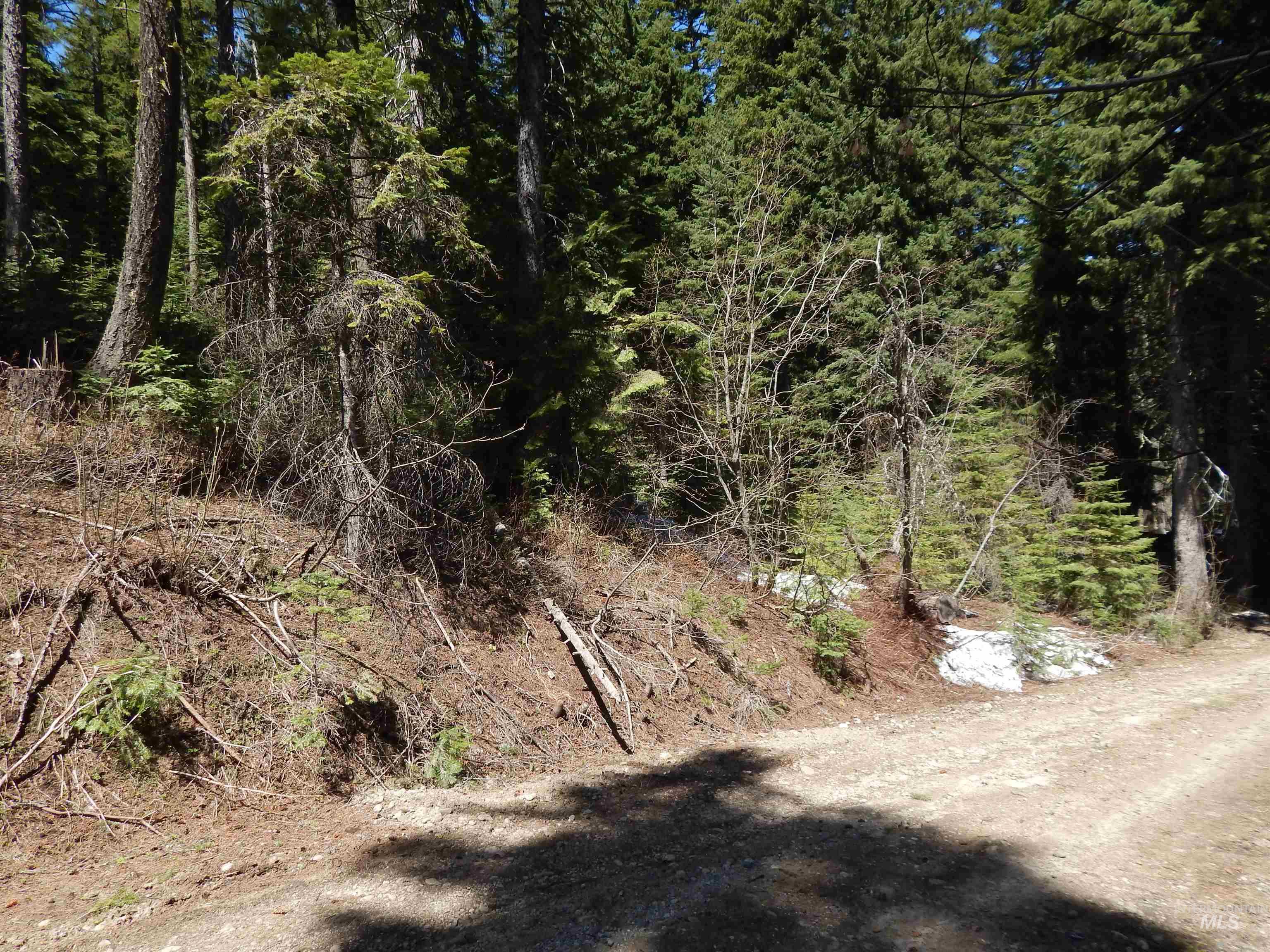 1601 Bear Trail Loop, Donnelly, Idaho 83615, Land For Sale, Price $199,000, 98946467