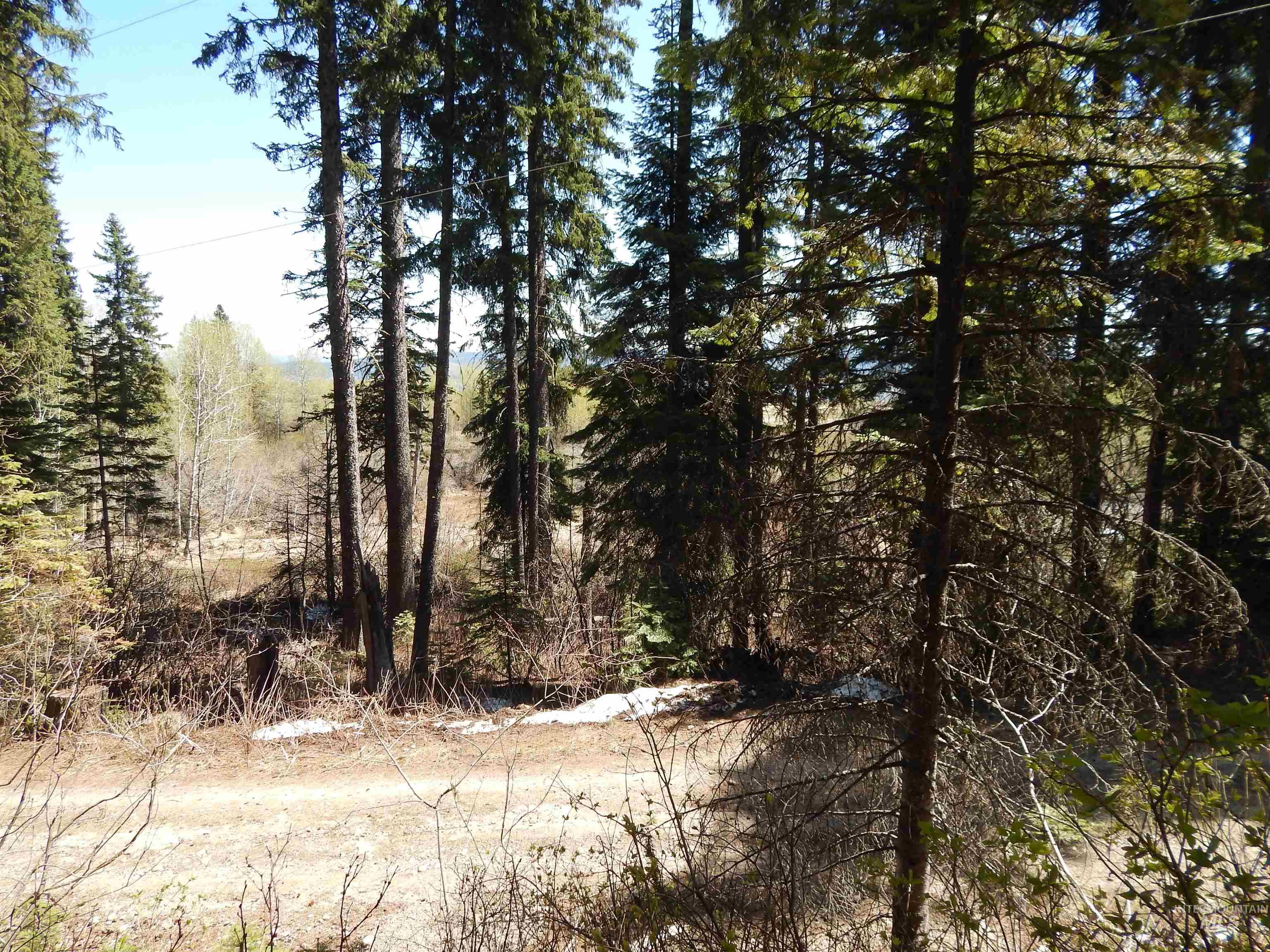1601 Bear Trail Loop, Donnelly, Idaho 83615, Land For Sale, Price $199,000, 98946467
