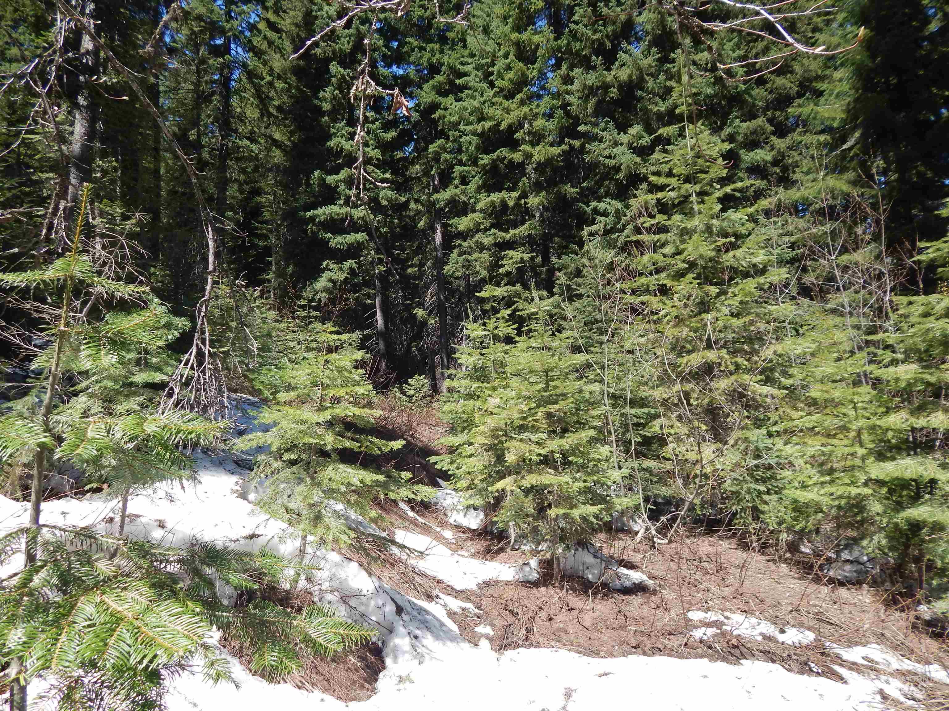 1601 Bear Trail Loop, Donnelly, Idaho 83615, Land For Sale, Price $199,000, 98946467