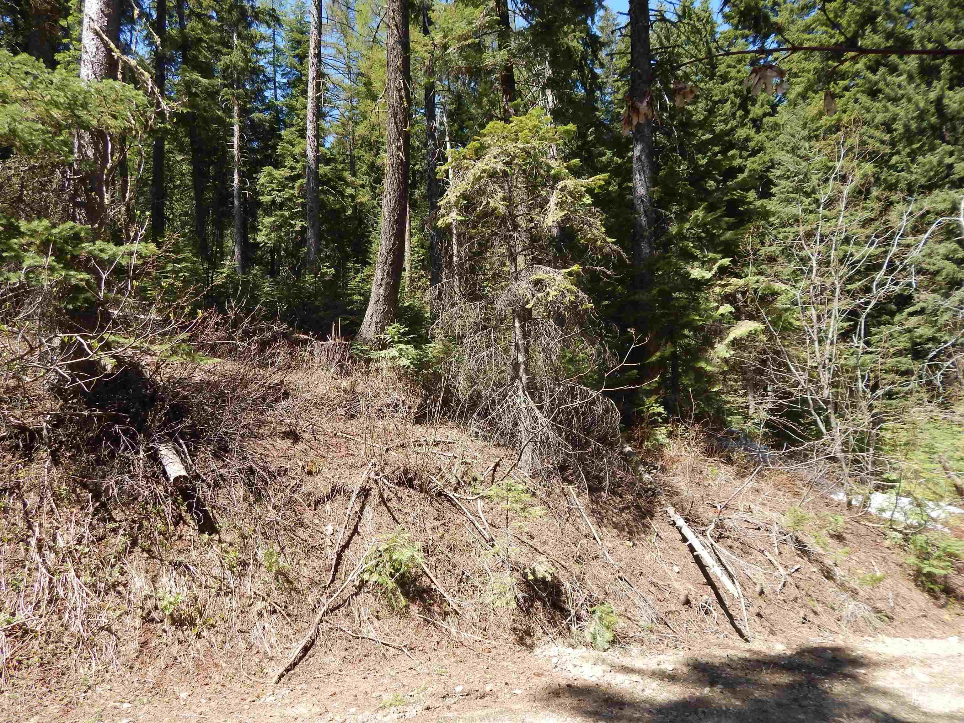 1601 Bear Trail Loop, Donnelly, Idaho 83615, Land For Sale, Price $199,000, 98946467